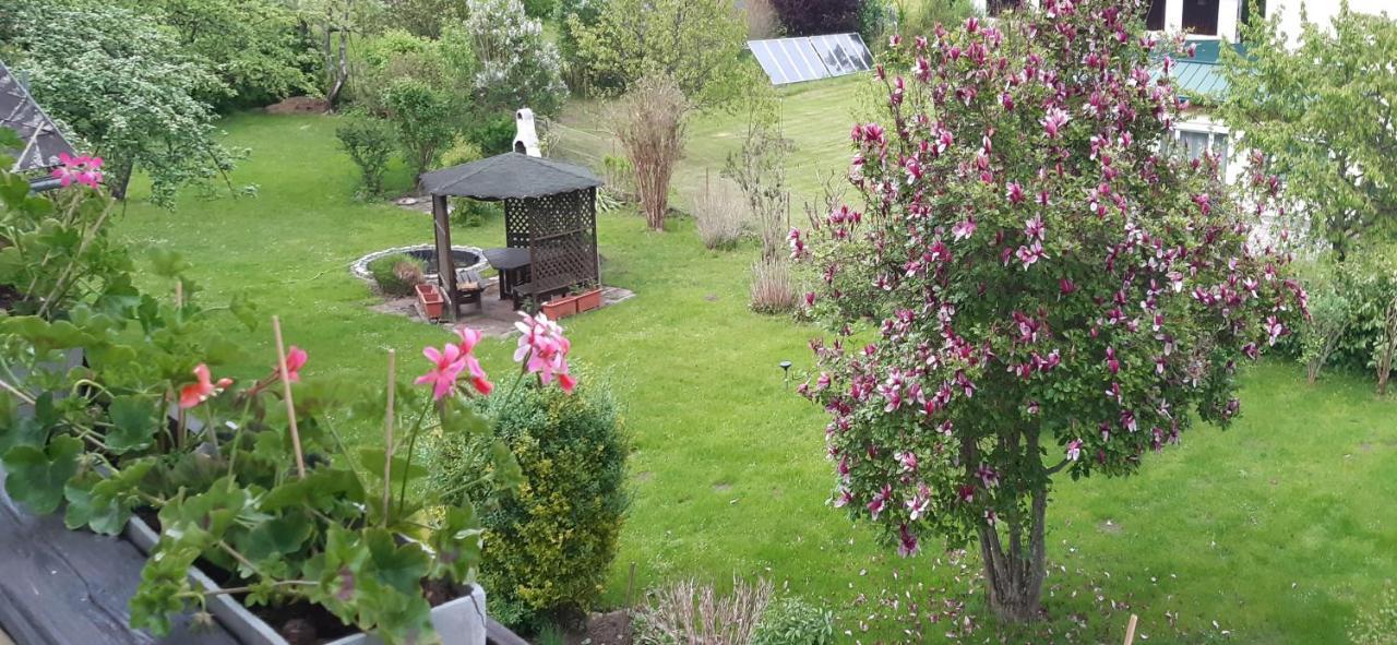 Nusswald *