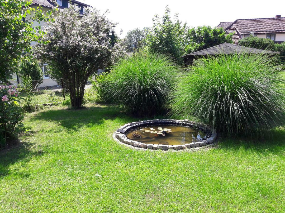 Apartment Nusswald *
